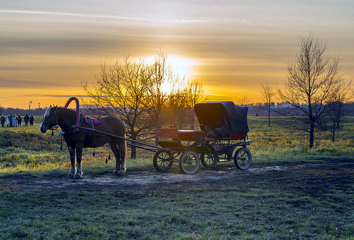 Вечернее - Сергей Цветков