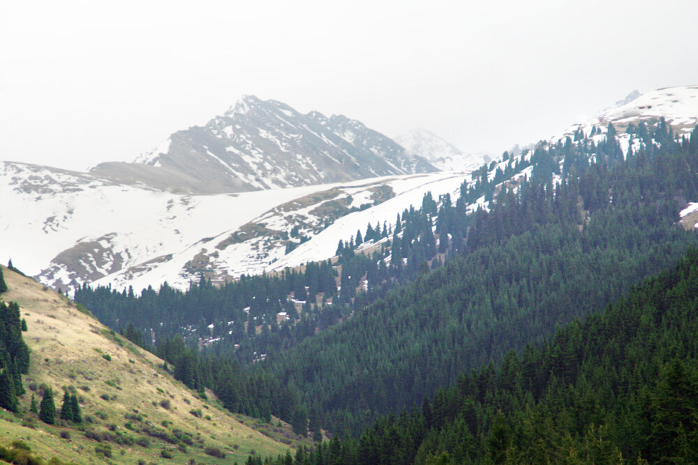 Пасмурно и туманно в горах - Галина Ильясова
