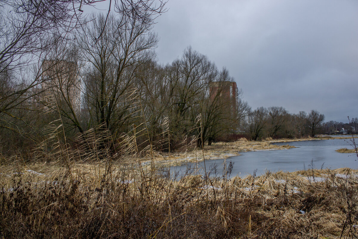 Откуда дует ветер - Михаил "Skipper"