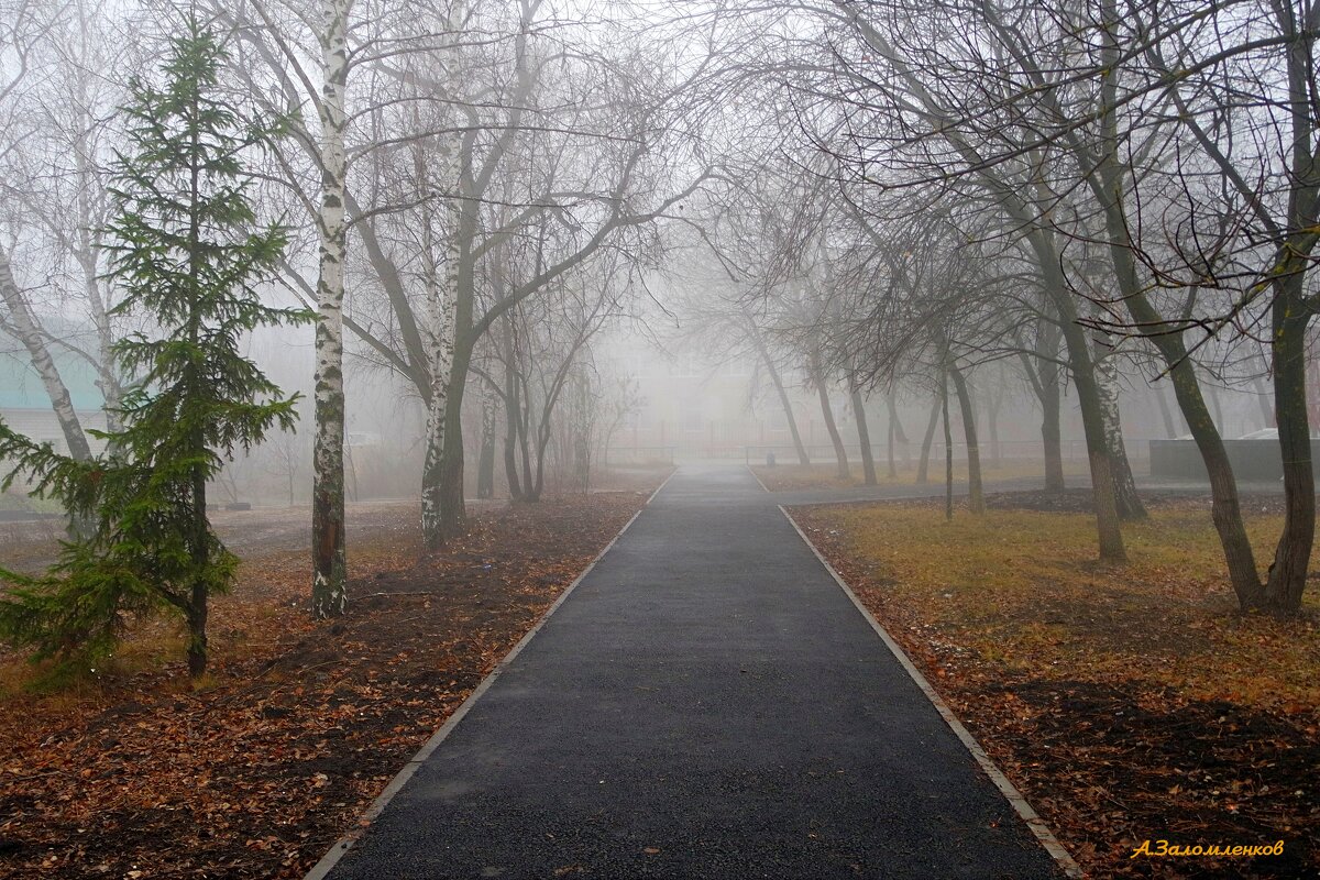 Туманная дорога к Новому году... - Андрей Заломленков