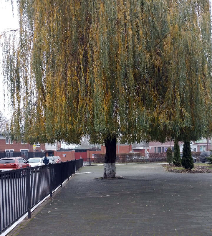 *** - Валентина Береснева