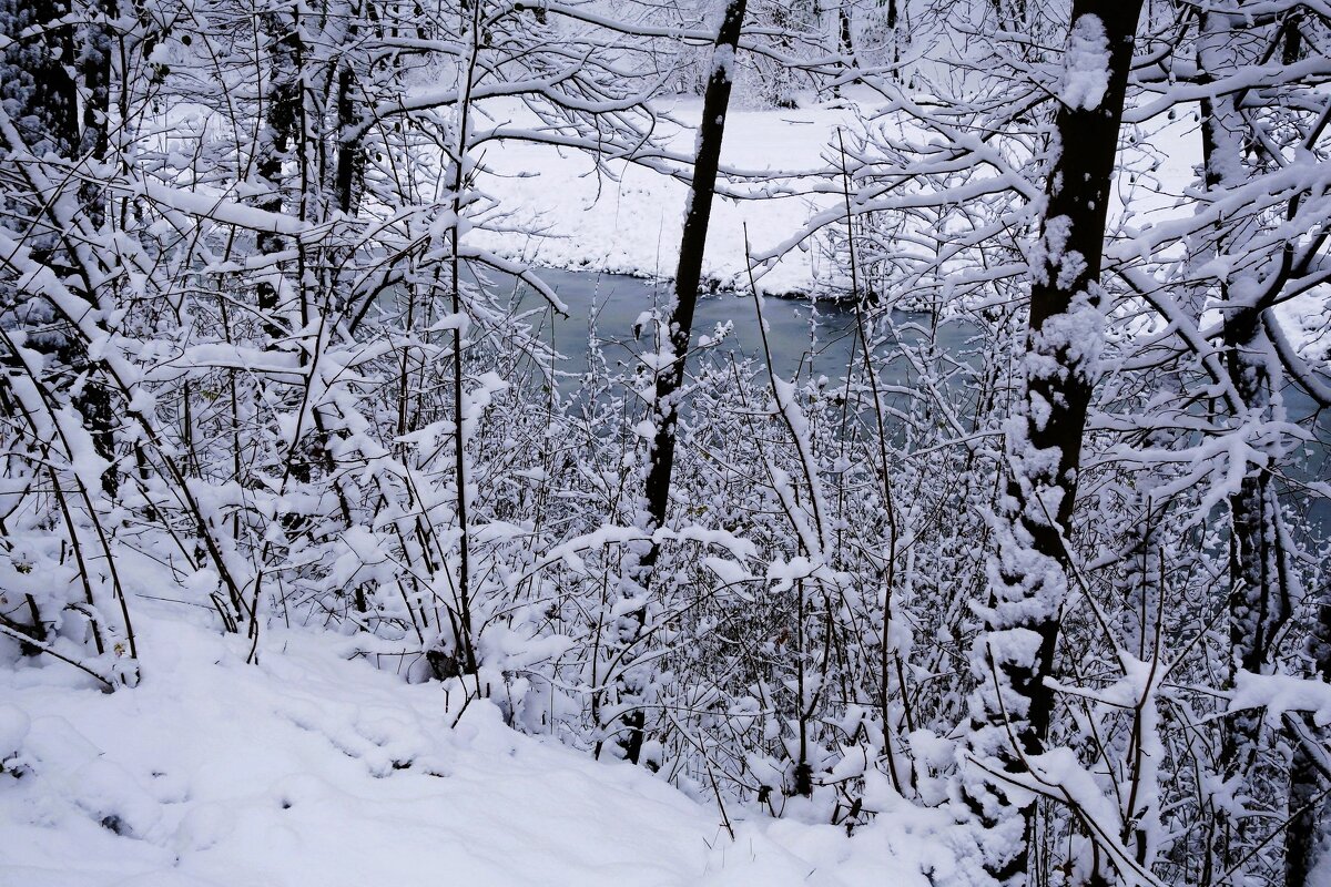 Первый снег - Рита Симонова