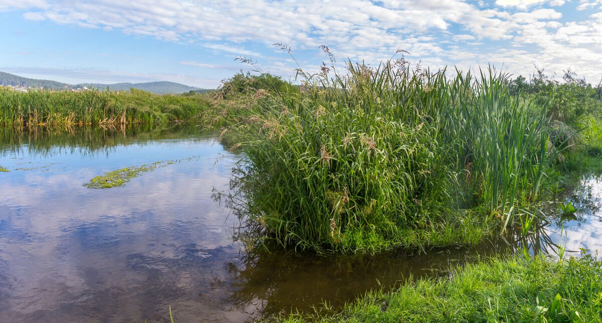 Летнее утро на реке Миасс. г. Миасс, Машгородок (панорама). - Алексей Трухин