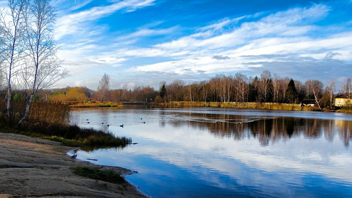 Осень во второй половине ноября. - Милешкин Владимир Алексеевич 