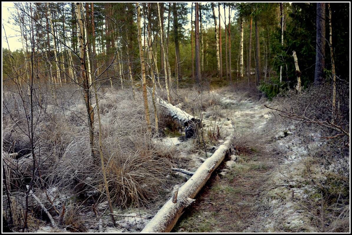 Припорошило - Aleksandr Gal