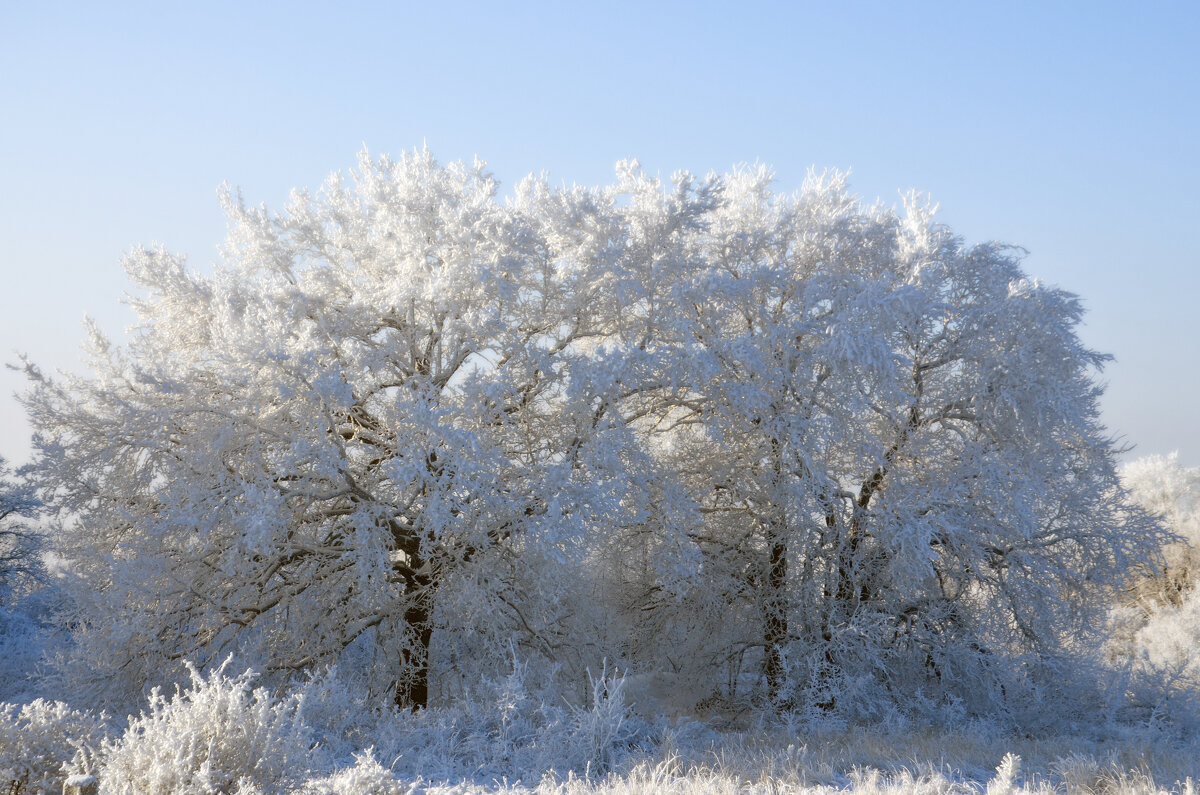 с началом зимы - Сергей М с началом зимы - Сергей М