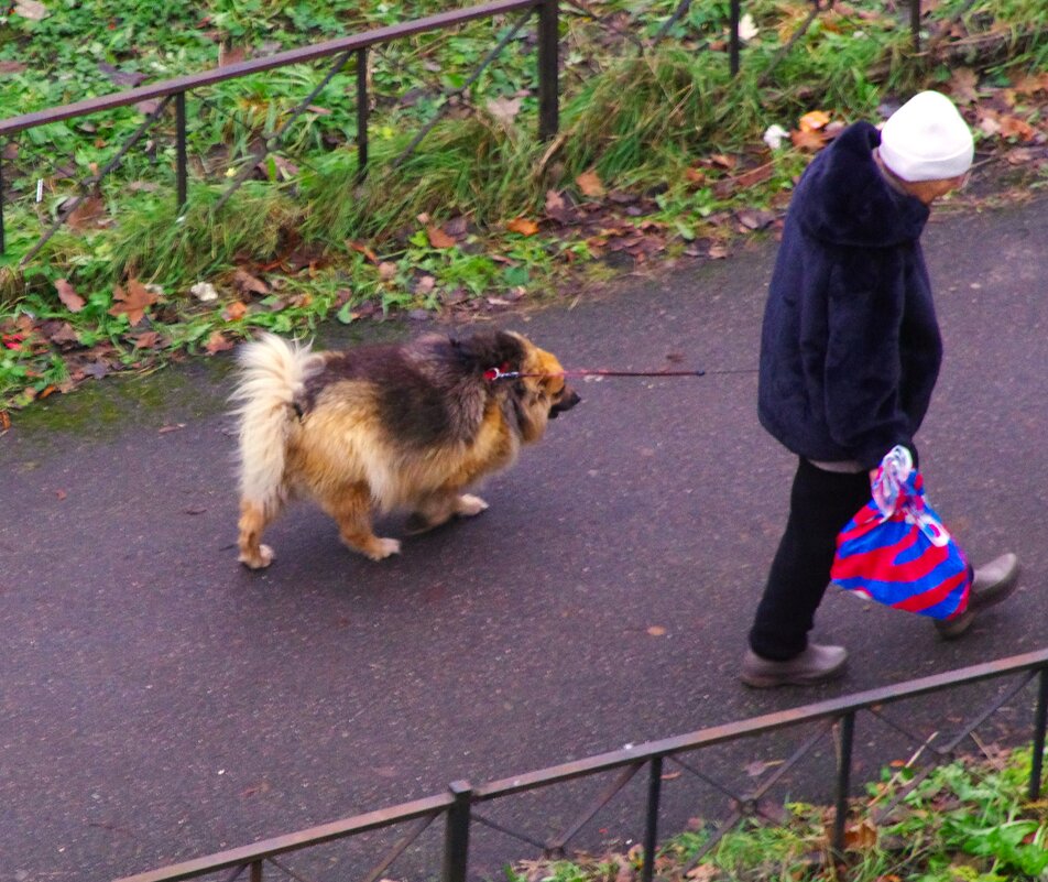Две старушки... - Юрий Куликов