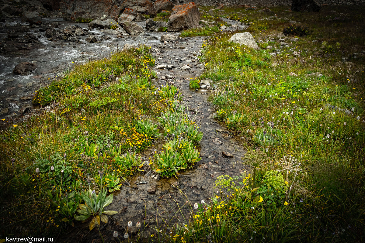 ГОРНЫЕ РУЧЬИ - HART BAD