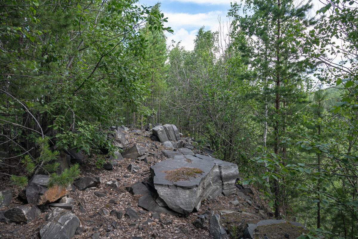 ... - Сергей Яковлев