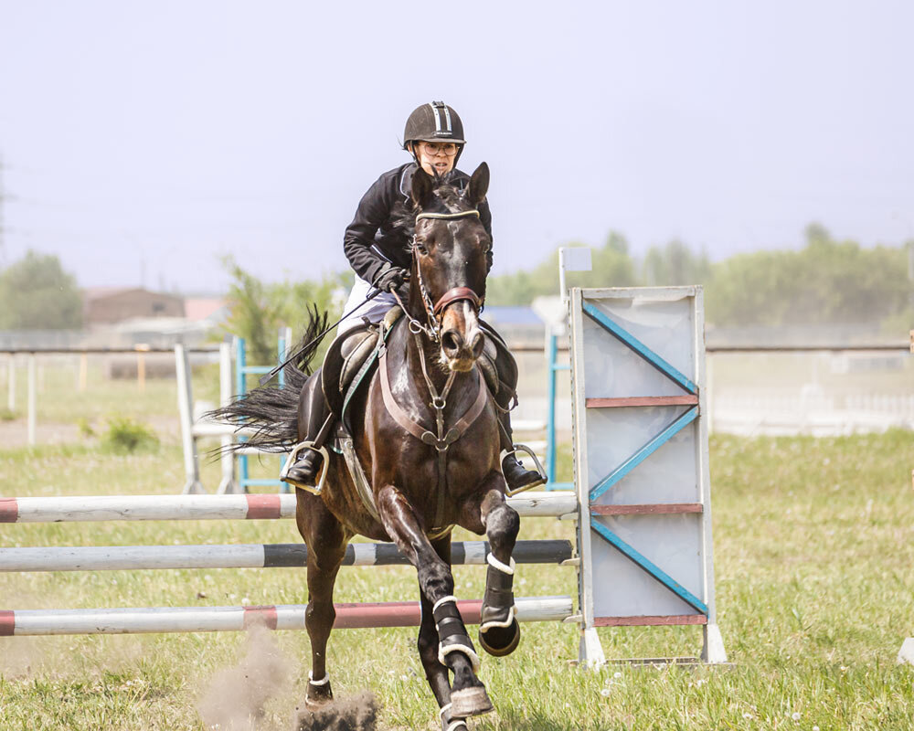 Конкур - SanSan 