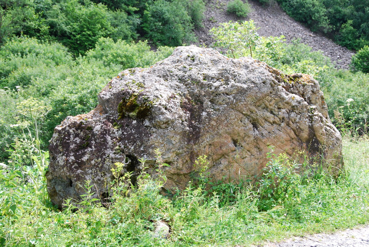 Бегемотик, бегемотик, Ушки, маленький животик. - Юрий Вовк