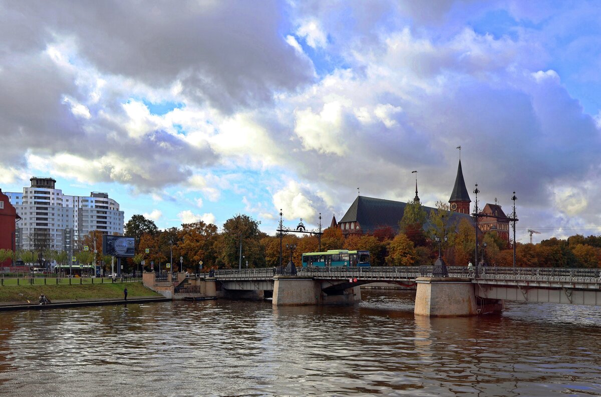 Дровяной мост и собор - Сергей Карачин