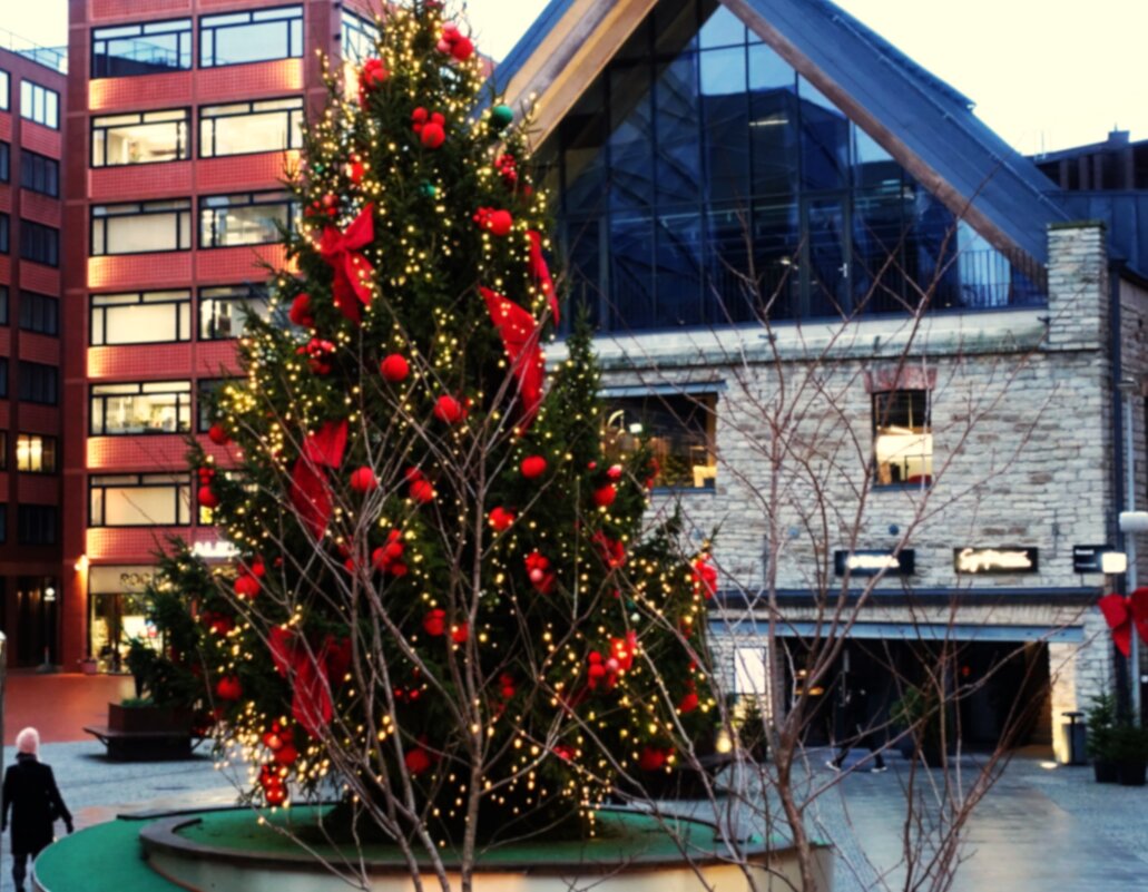 Новогодняя ель в Квартале Ротерманна. - Aida10 