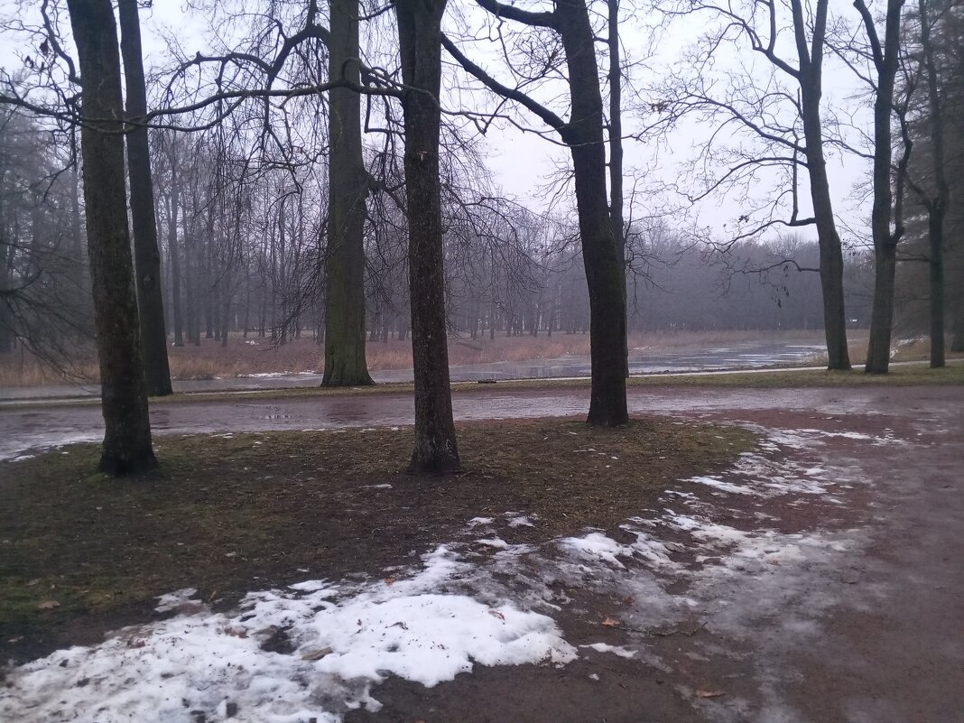 Оттепель - Сапсан 