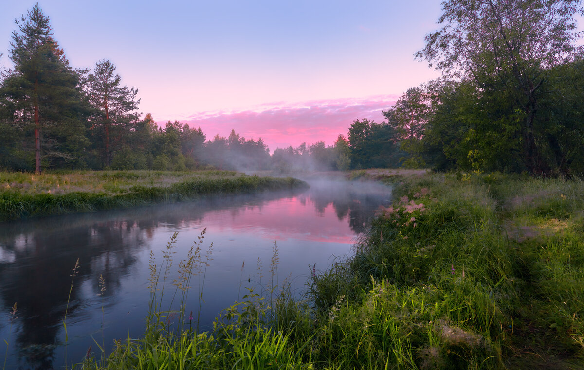 Нерское разнотравье ... - Roman Lunin