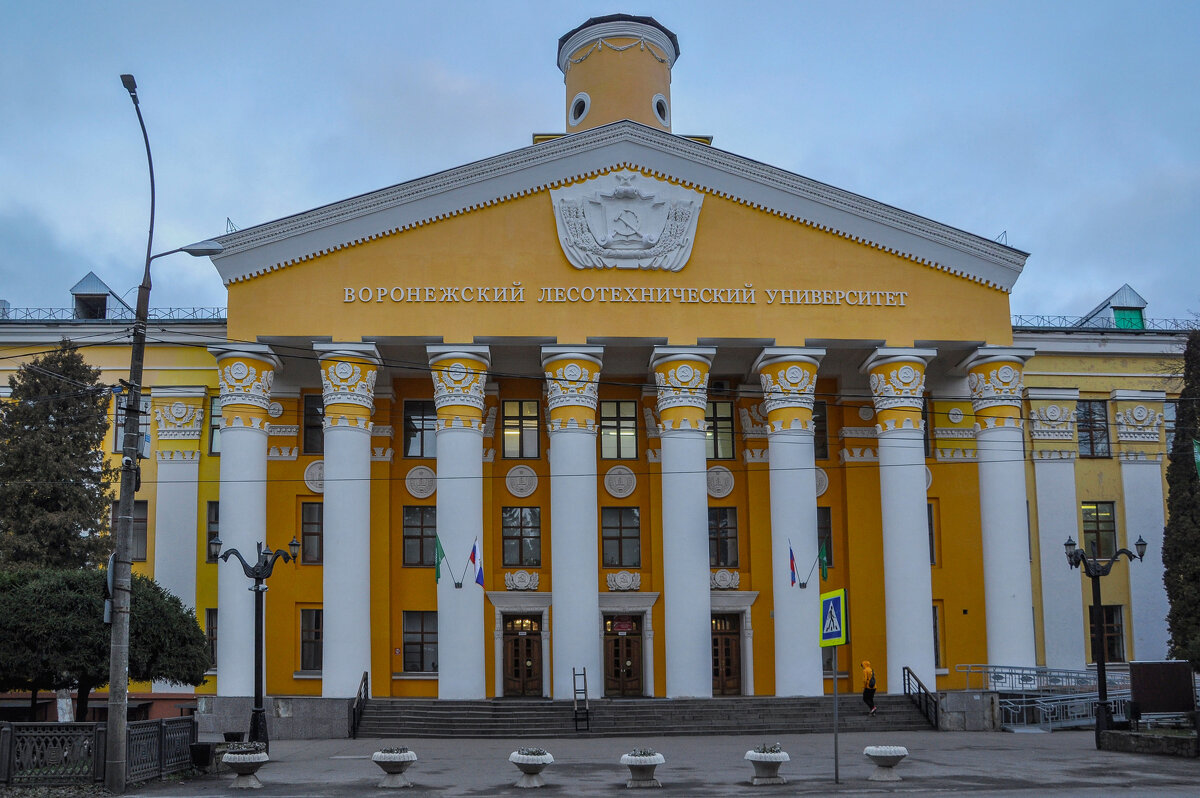 Здание Лесотехнического университета - Татьяна Машошина