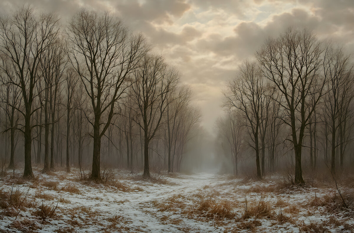 Поздняя осень - Aleksey Afonin Поздняя осень - Aleksey Afonin