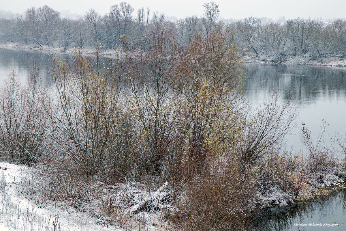 р. Нарев - Светлана Ищенко