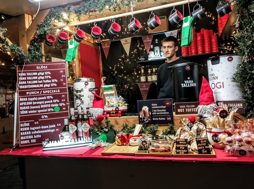 Рождественские домики - Veera V