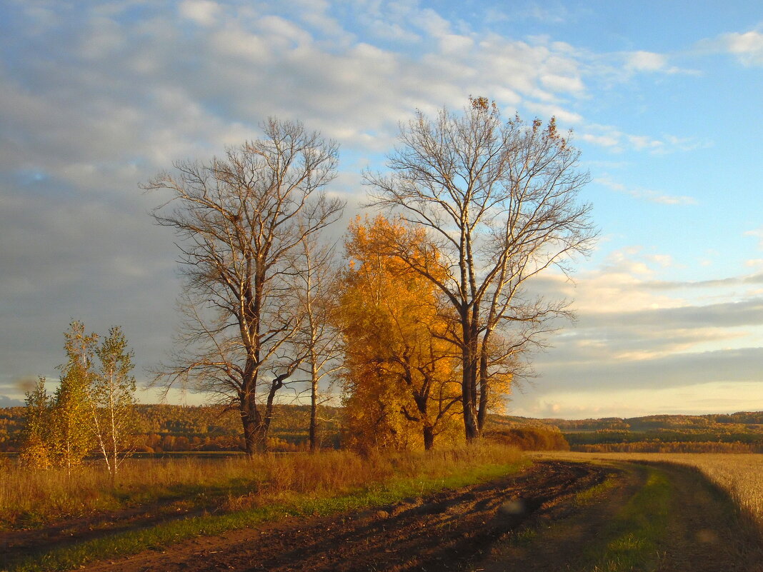 Осенняя картина. - nadyasilyuk Вознюк