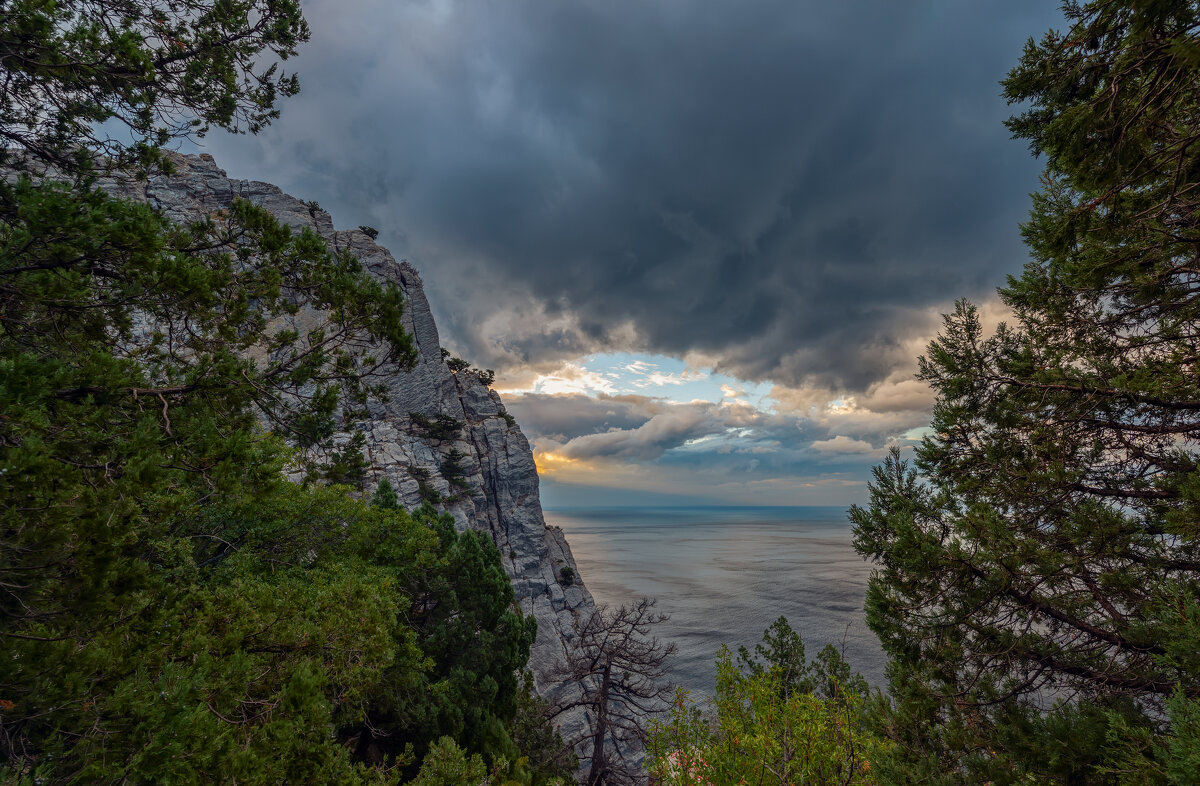 ** - Виталий Емельянов