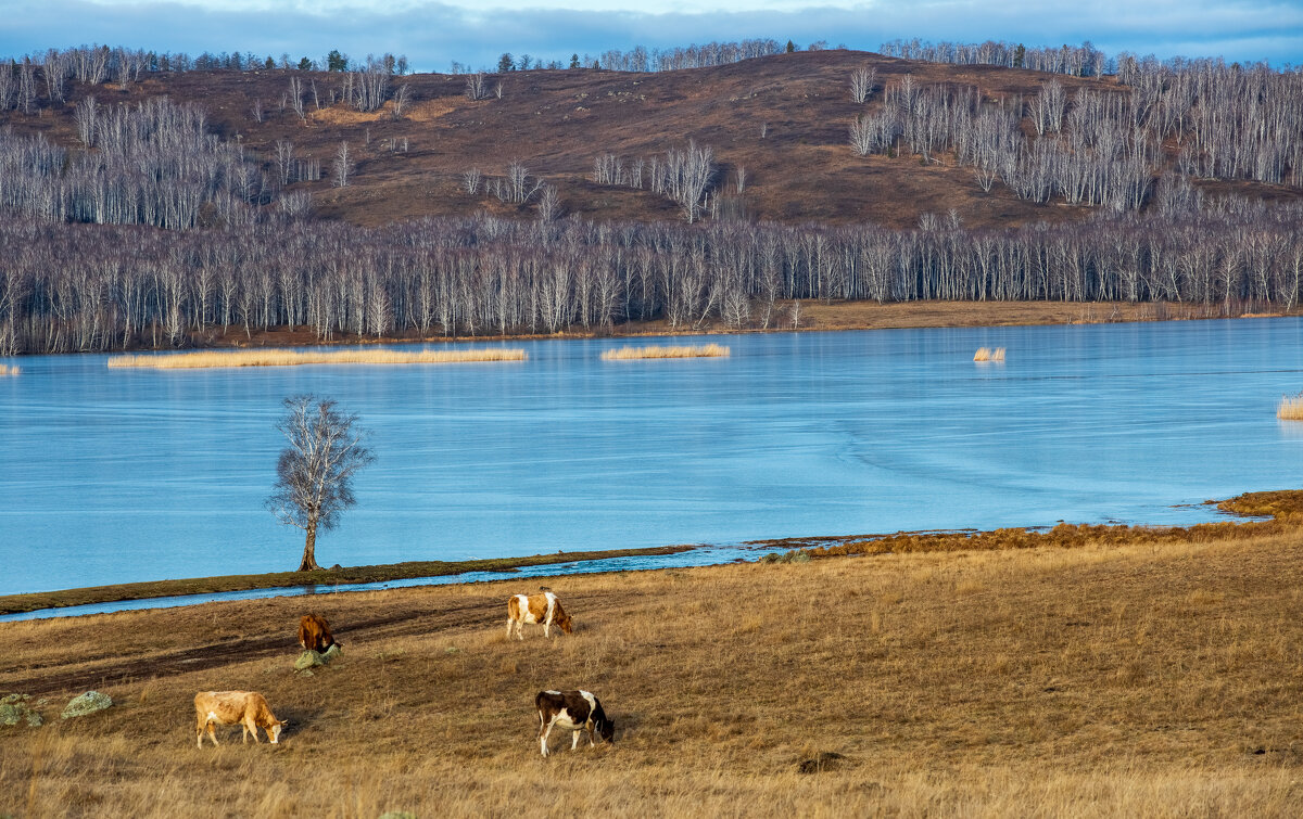 Декабрь на южном Урале - Петр 