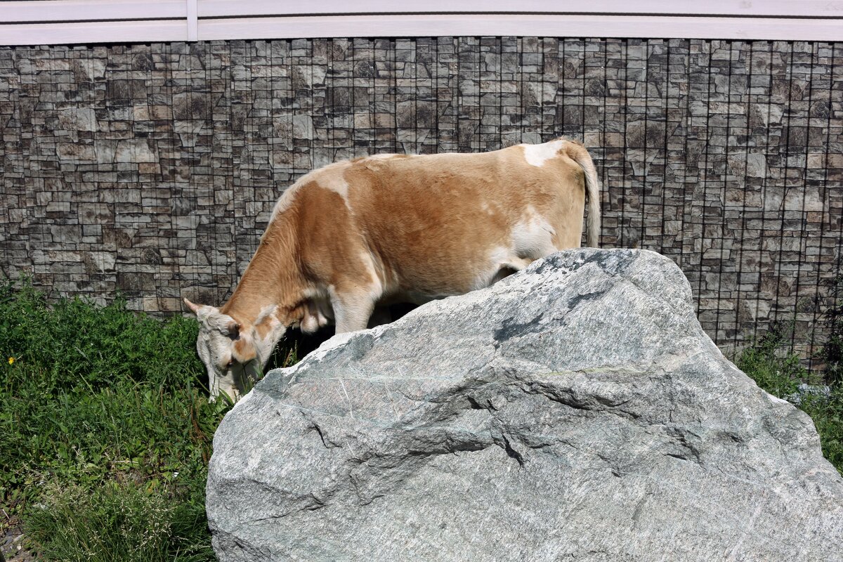 Прогулки по бурятским городкам - Ольга 