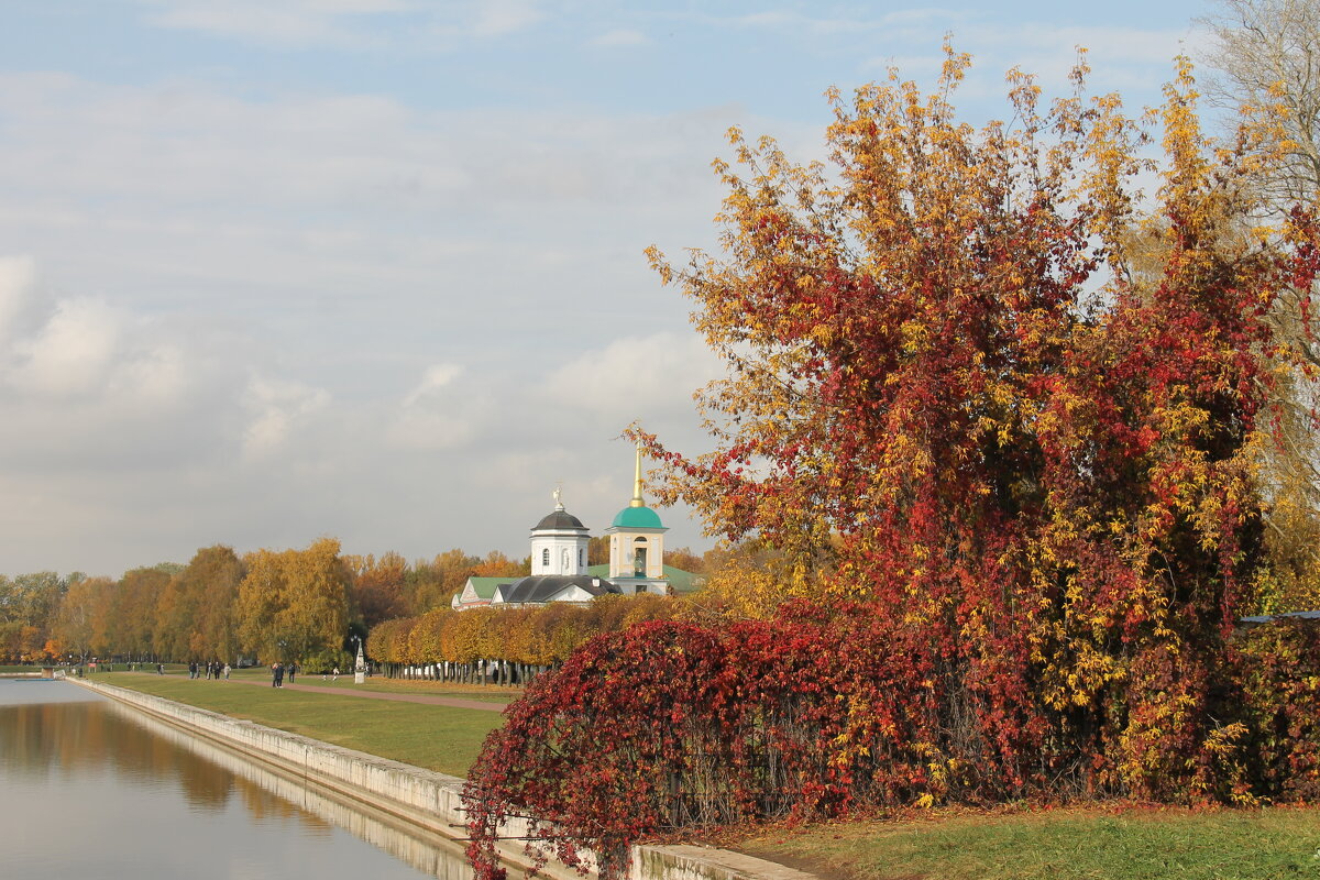 ОСЕННЯЯ ЗОЛОТАЯ ЖЕМЧУЖИНА - УСАДЬБА КУСКОВО - Валентина 