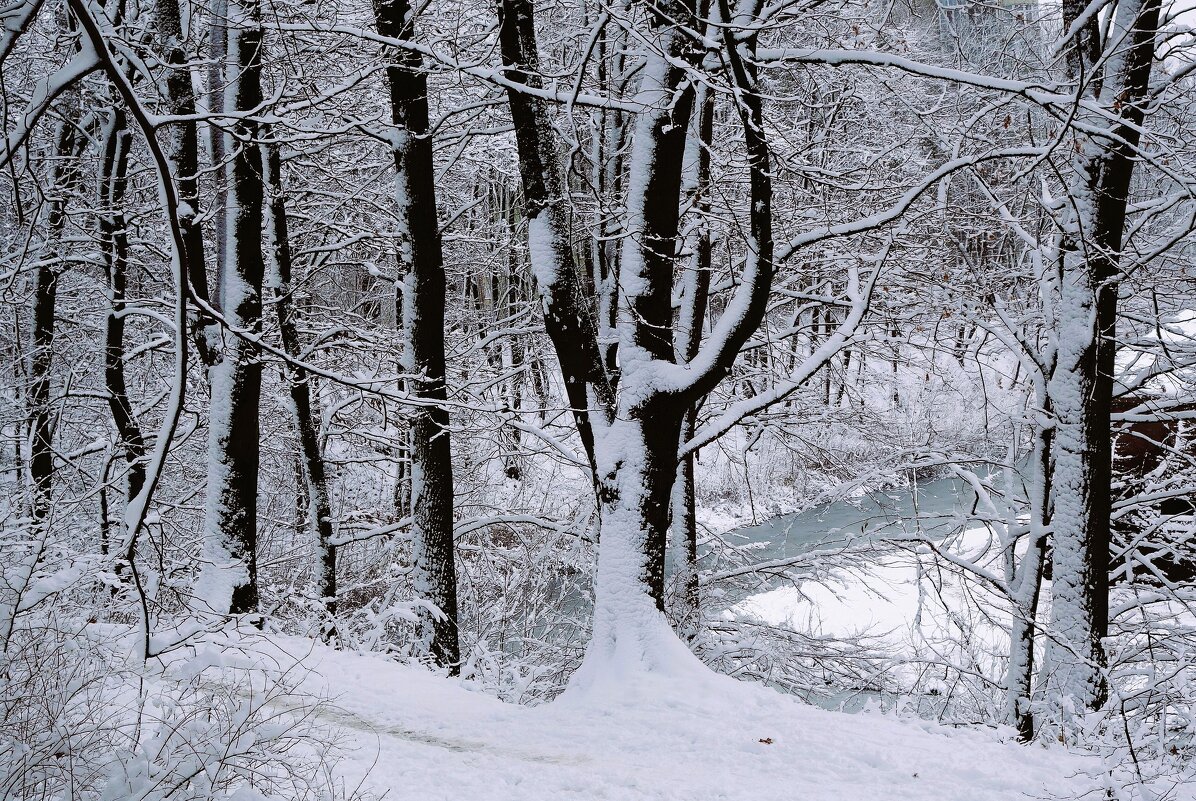 Снежный ноябрь - Рита Симонова
