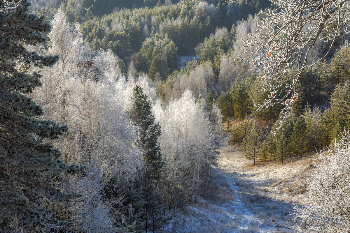 Начало зимы - Наталья Димова