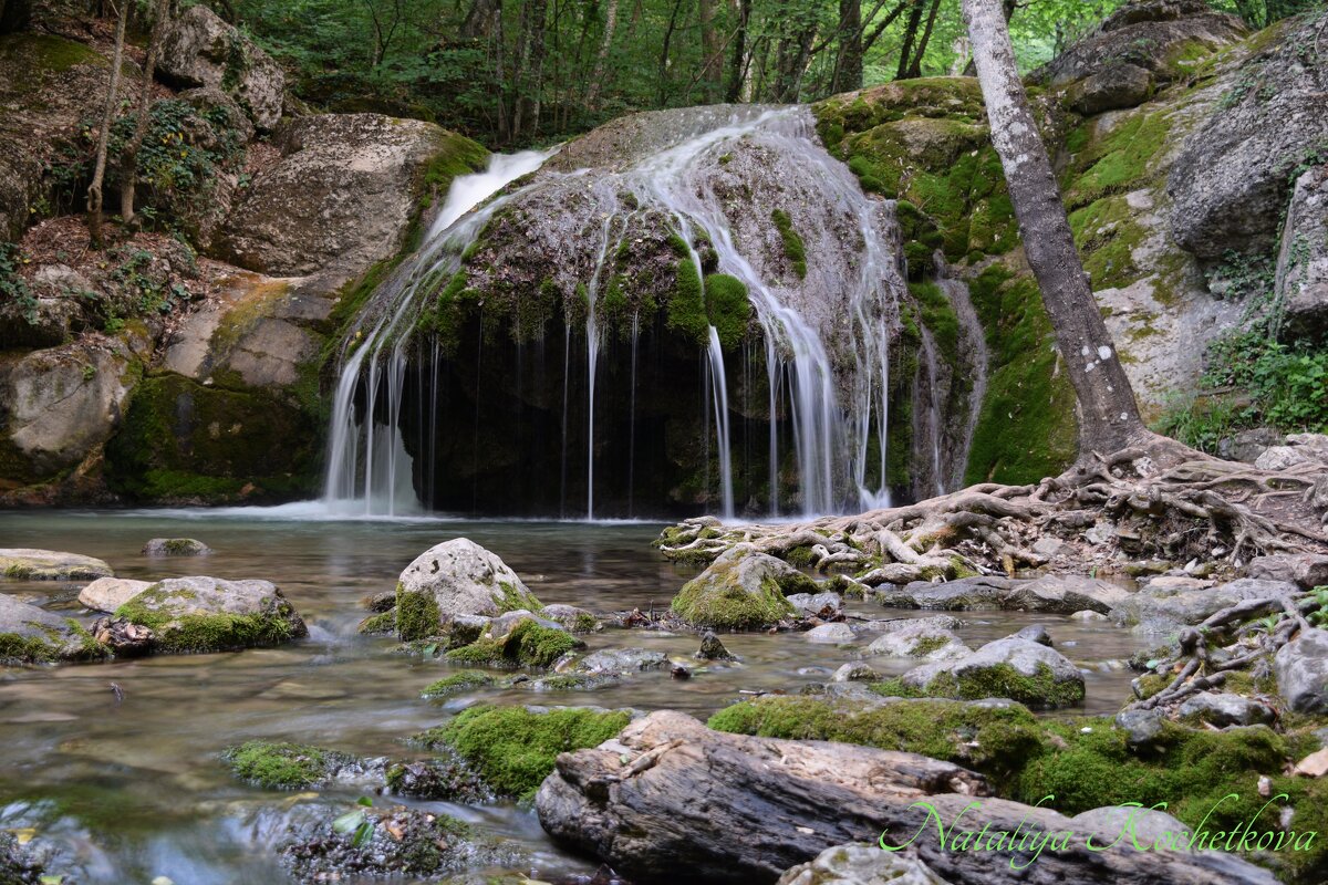 Природа Крыма - Amazing Cosmea