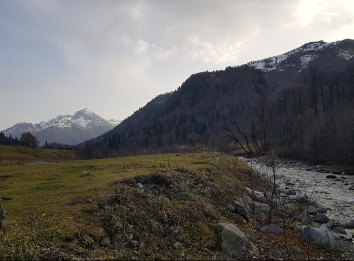 АБХАЗИЯ - Tata Wolf