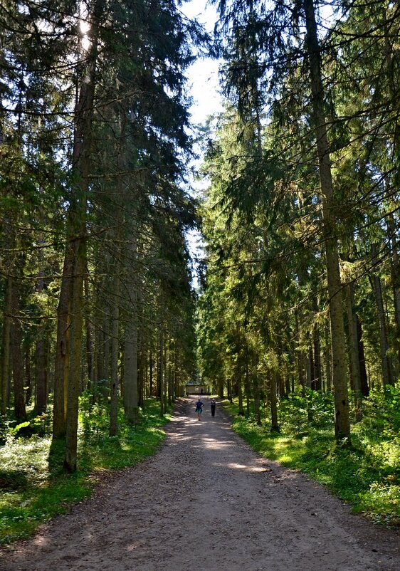 МИХЙЛОВКОЕ. - Виктор Осипчук МИХЙЛОВКОЕ. - Виктор Осипчук