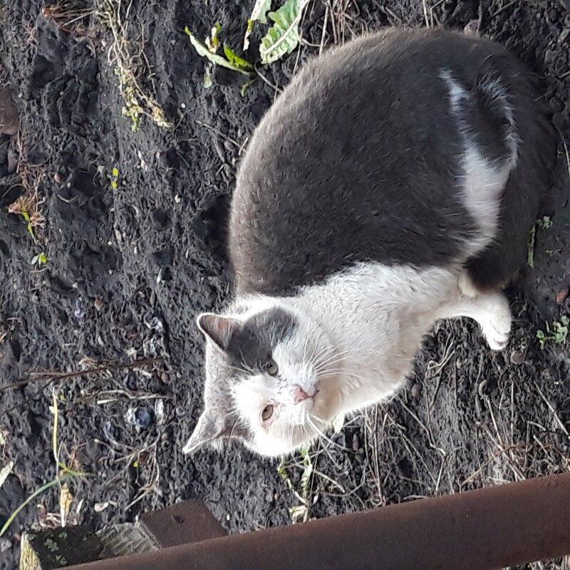 А за городом нет зимы тоже - Венера Чуйкова