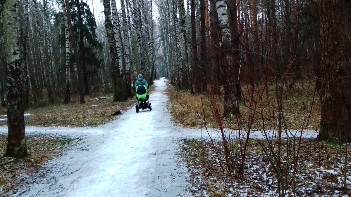 природа - Владимир 