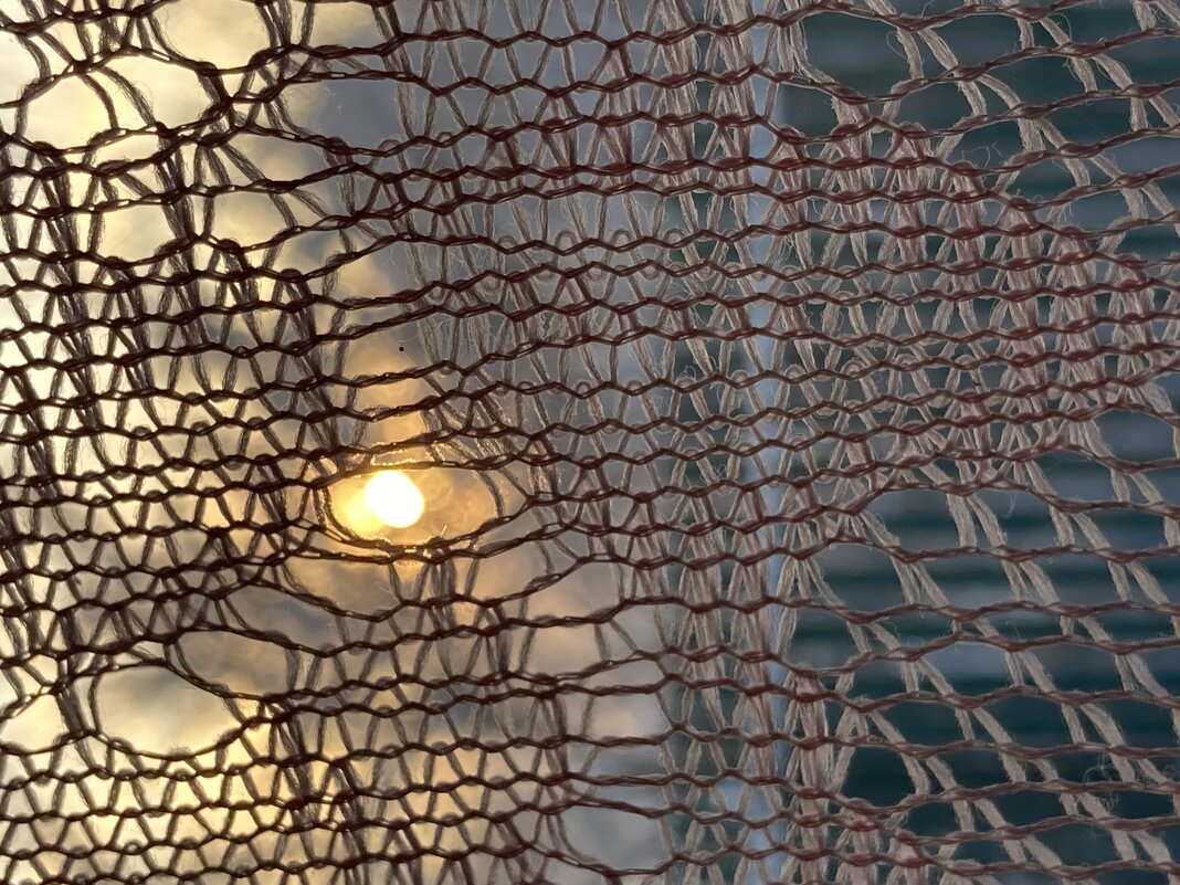 Занавесочка - Ольга Савельева 