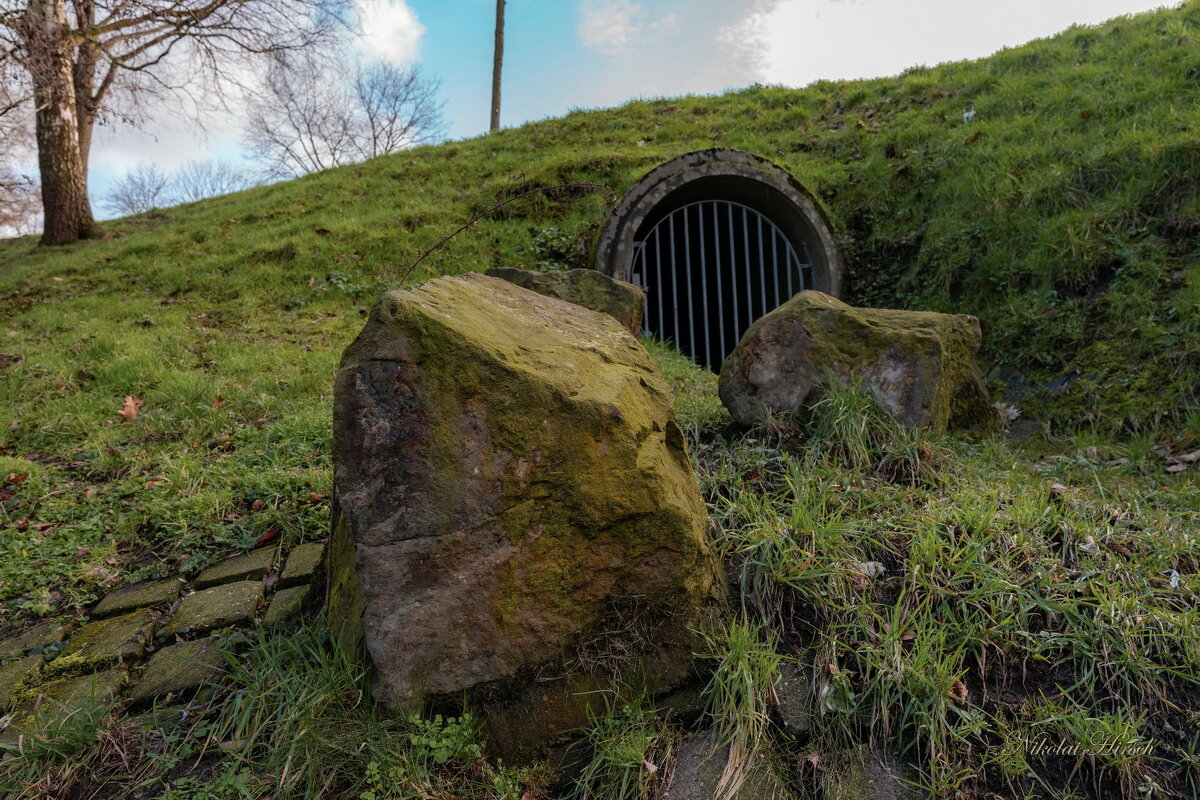 Стражи... - Николай Гирш