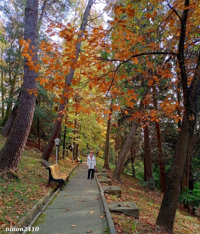 Адлер... ноябрь... - Нина Бутко