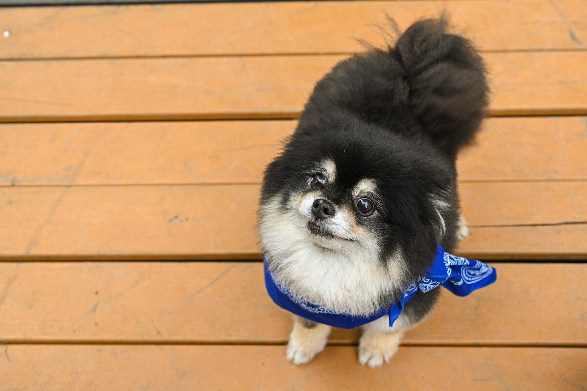 Чим - Елена Бекетова