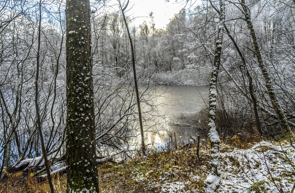 Первая пороша - Владимир Езеров 