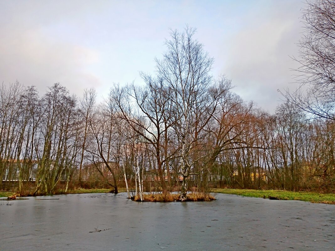 И всё-таки небо! - Лия ☼