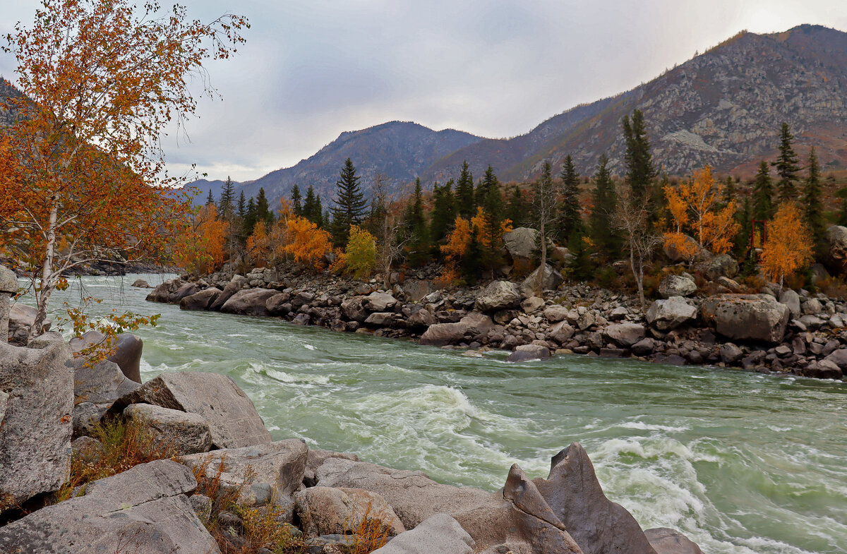 Шумит осенняя Катунь - елена беликова