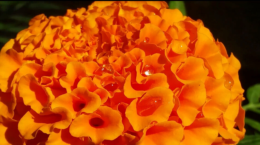 114 (176) - CLOSE WAYS ALL