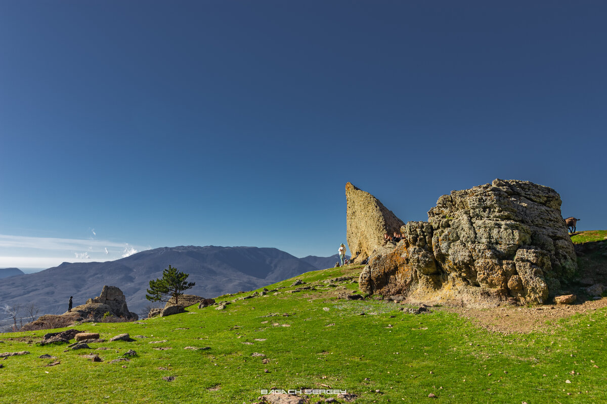 СОЛНЕЧНАЯ ПОЛЯНА - Sergey Bagach