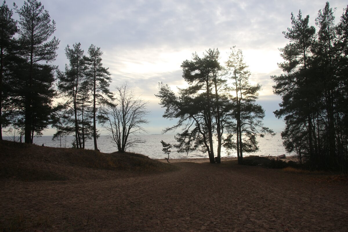 Репино - Наталья Герасимова Репино - Наталья Герасимова