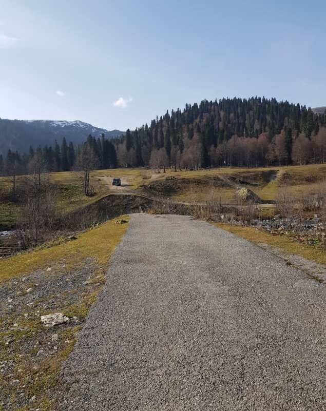 АБХАЗИЯ - Tata Wolf