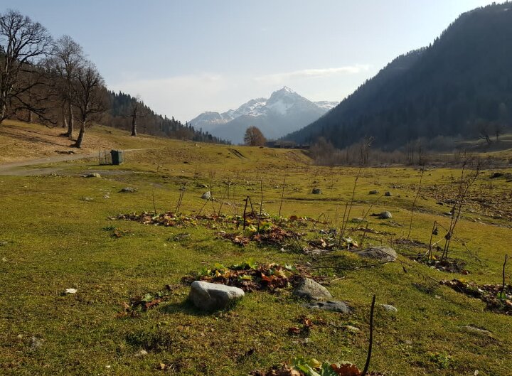 АБХАЗИЯ - Tata Wolf