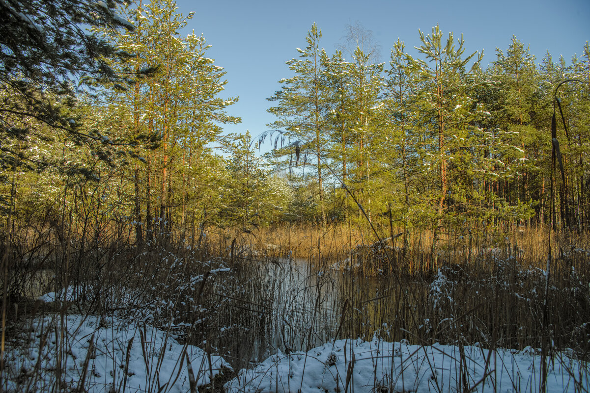 Старая копань. - Николай 