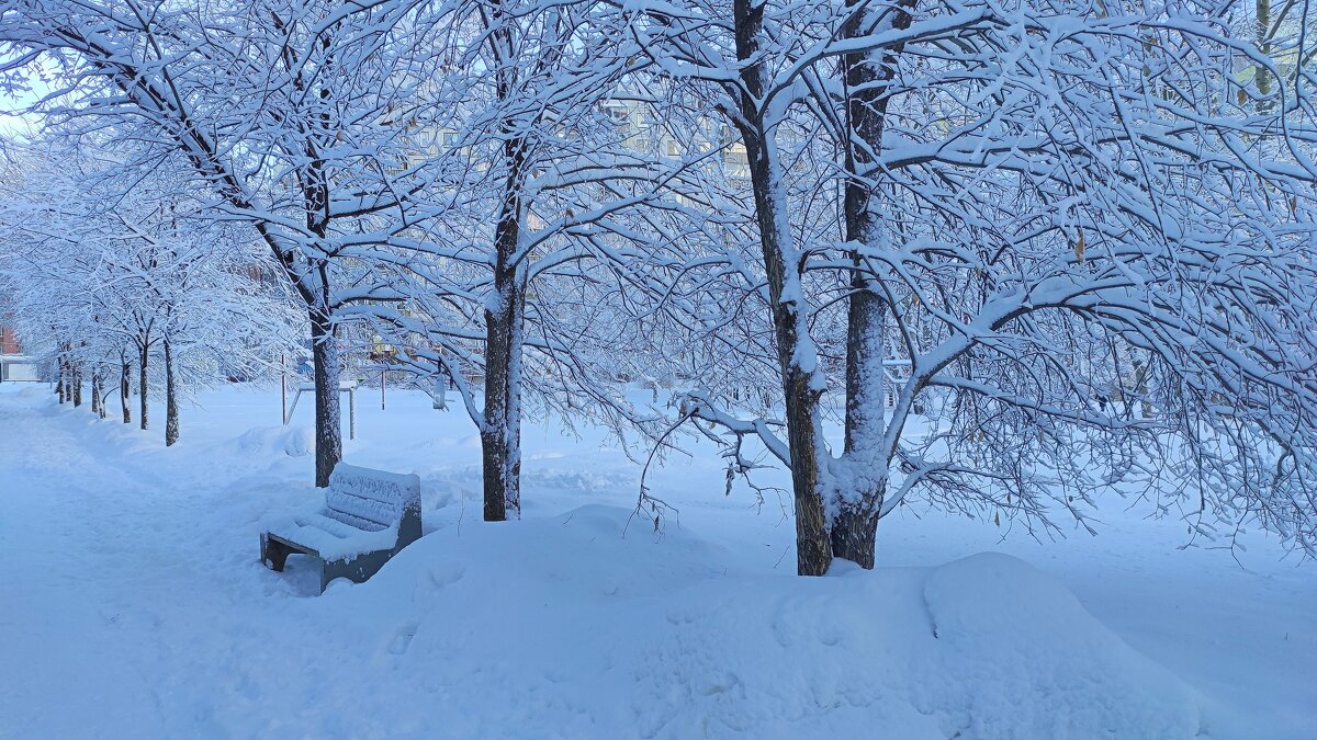 В зимнем парке так бело, так бело.... - Татьяна Лютаева