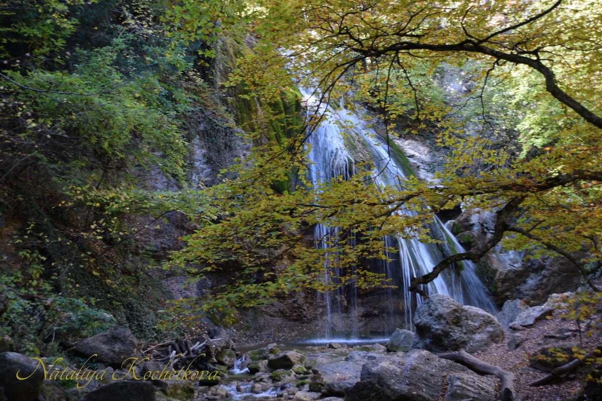 Природа Крыма - Amazing Cosmea